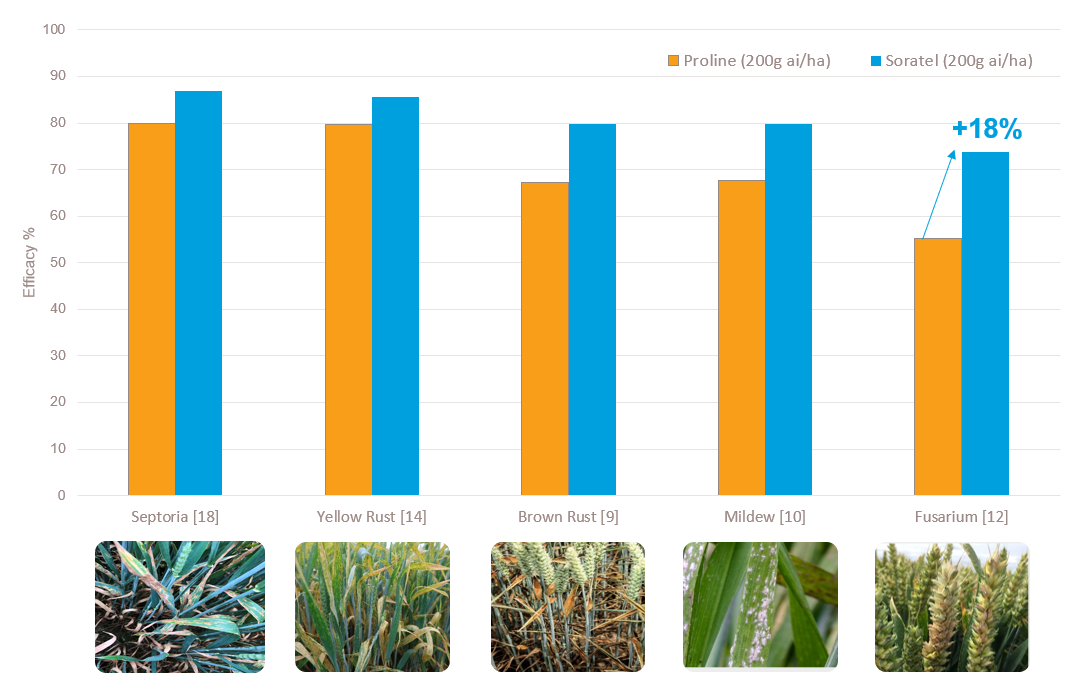 soratel wheat maritime trial