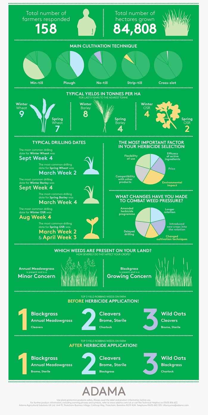 Grassweed-Survey-Infographic-1.jpg