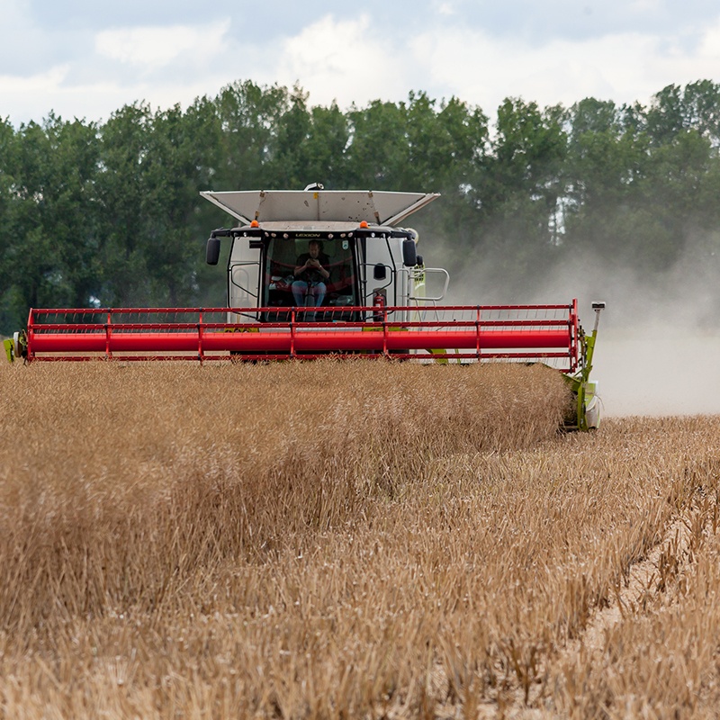 Harvest800x800-1